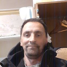 , 37, 