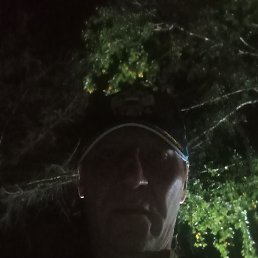 , 42, 