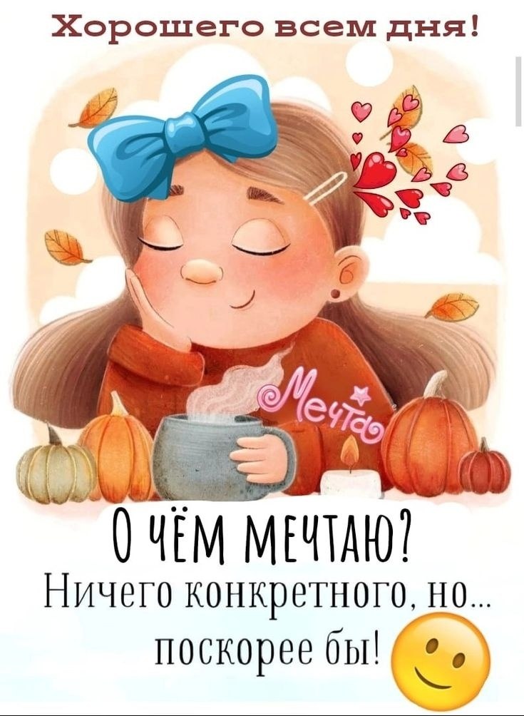   ,    . - 16  2025  12:06
