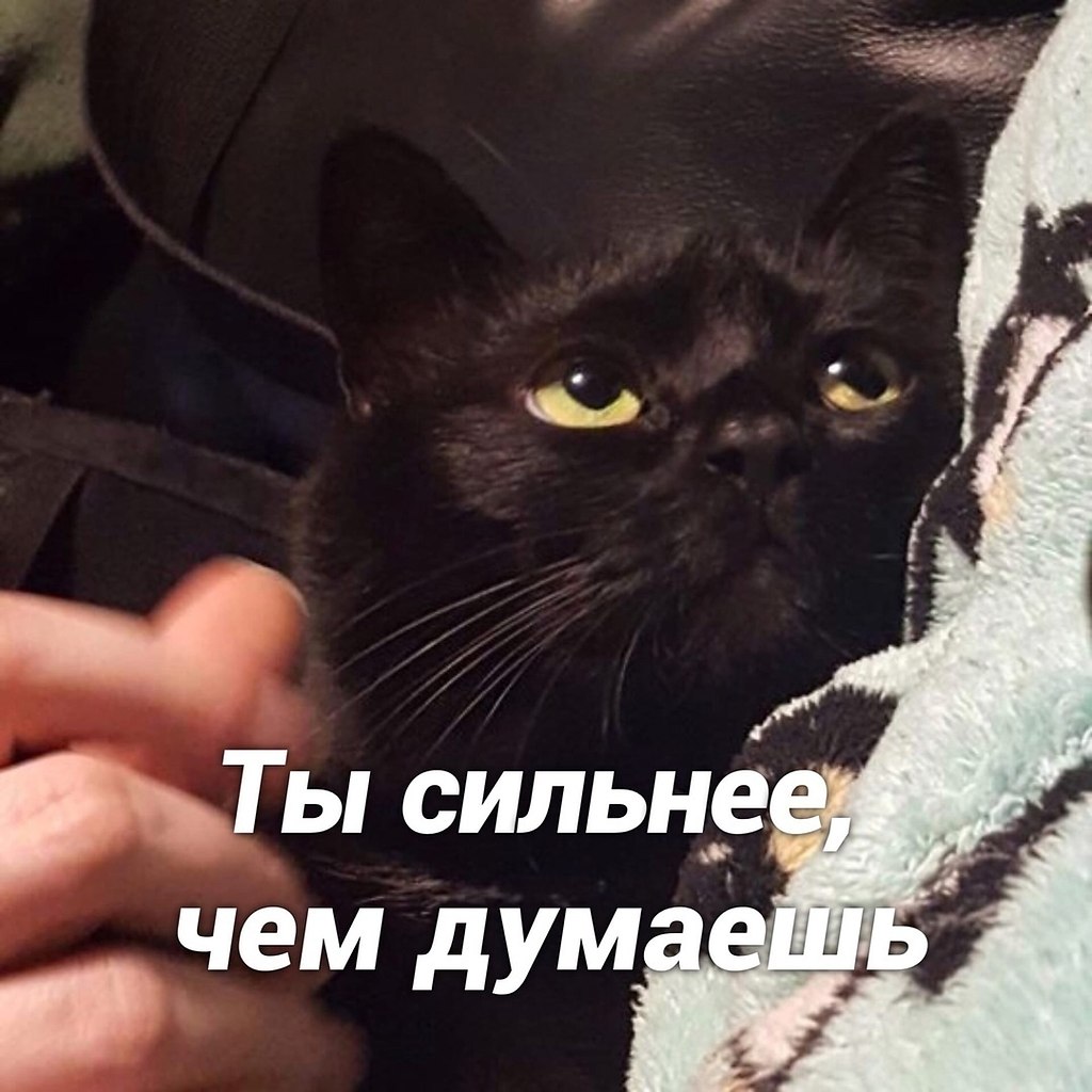      - 4