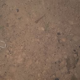 Christ, �����������, 27 ���