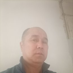 , 50, 