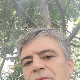 , 41, 