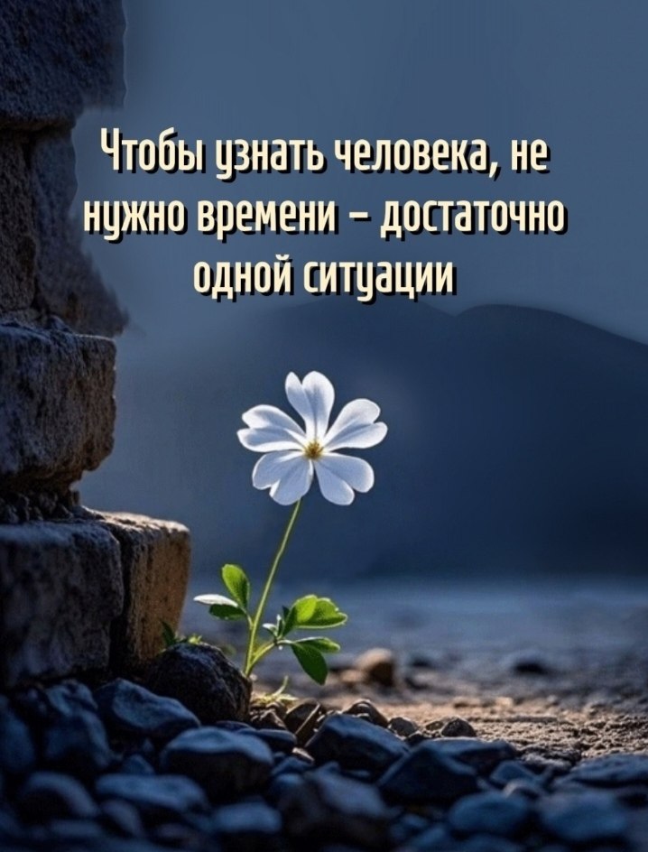  - 9  2025  20:33
