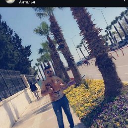 ���� Amir, �������, 34 ���� - ��������� 23 �������� 2026
