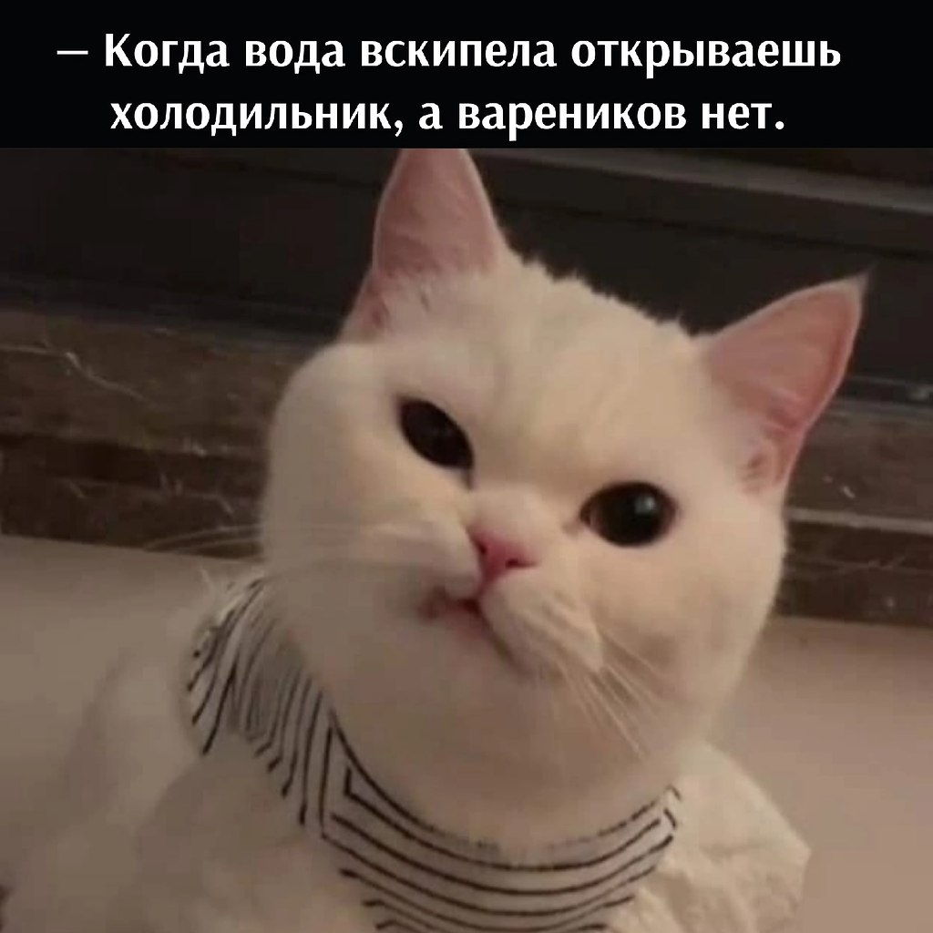 ��� ���� � ����� �� �� - 30 ��� 2026 � 19:55 - 3