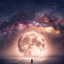 ���� ������ ���������, �������, 30 ��� - ��������� 13 ���� 2024