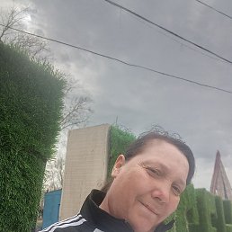 ���, ������, 43 ����