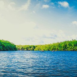 �������, �����, 55 ���