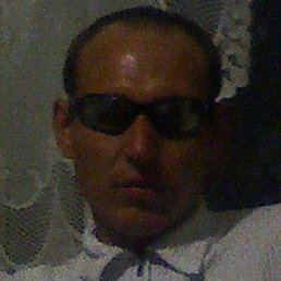 ����������, �������, 41 ���