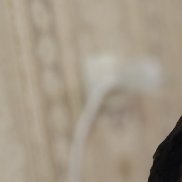 ������, 23 ����, ������