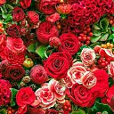 ���� �����, ������, 27 ��� - ��������� 19 ���� 2024 � ������ ���� ����������
