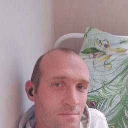 , 37 , 