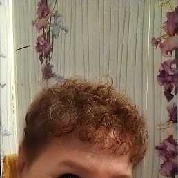 , 64, 