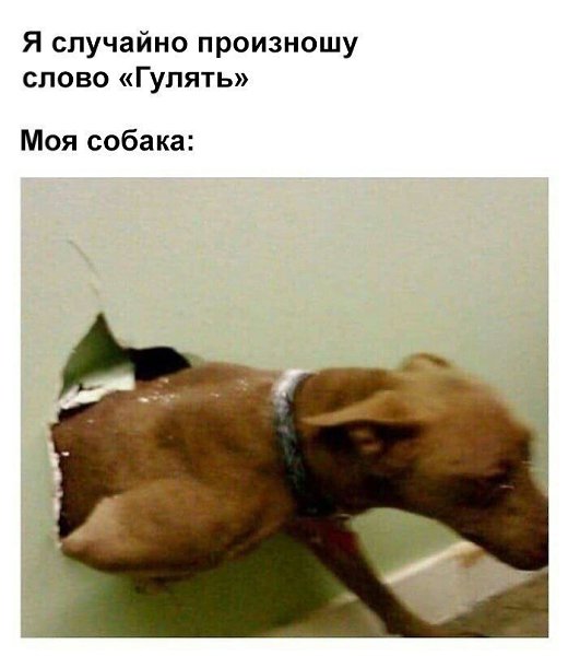    - 21  2023  08:21