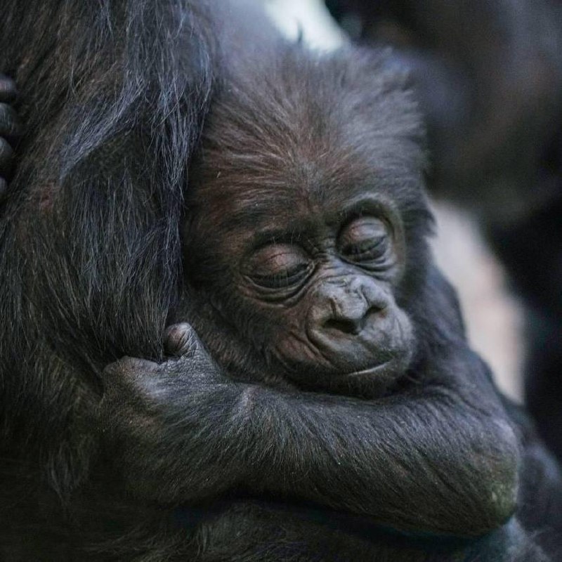 ������ ������ ������ ������� ��� ��� �������� ��������� �������, ������� ��������� � ���������� ...