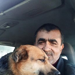 , 57, 