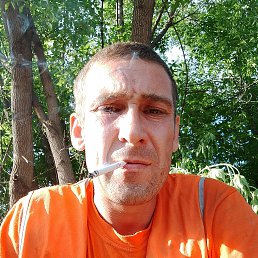 , 33, 