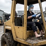 ����, 38 ���, ����������