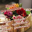 ���� ������, �����, 35 ��� - ��������� 17 ����� 2024 � ������ ���� ����������