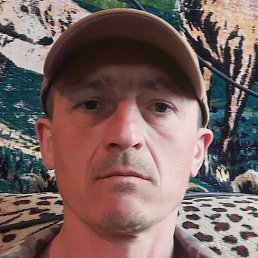 ������, �������, 43 ����