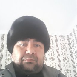 �����, �����, 48 ���