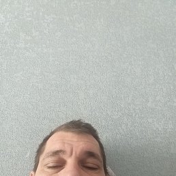 ���������, 41 ���, ����