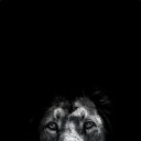 ���� Karma, �������, 26 ��� - ��������� 15 ��� 2026 � ������ ���� ����������