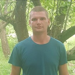 , 29, 
