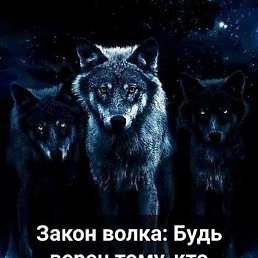 Set, �����-���������, 32 ����