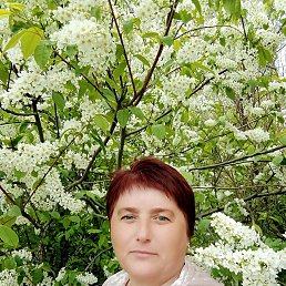 , 44, 