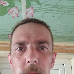  , 40 , --
