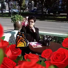 ���� �������, ��������, 66 ��� - ��������� 8 ������� 2026