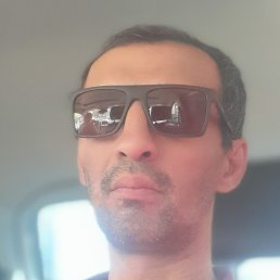 ����, �������, 41 ���