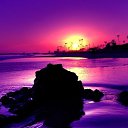 ���� ����������, �����-���������, 24 ���� - ��������� 4 ������ 2024 � ������ ���� ����������