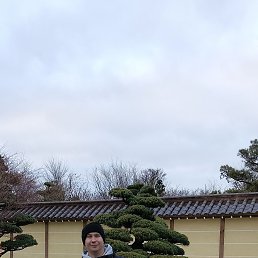 , 36 ,  
