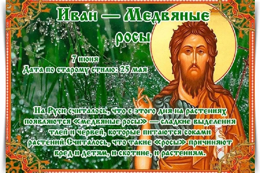 7 июня – Иван – Медвяные росы, Иванов день, Ферапонт – худые росы. —————————————— Дата по старому ...