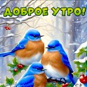 ���� ����������, ������, 68 ��� - ��������� 24 ������ 2024
