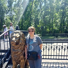 , 53, 