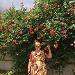 �������, �����