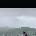 ���� �������, �����, 47 ��� - ��������� 8 ������� 2025