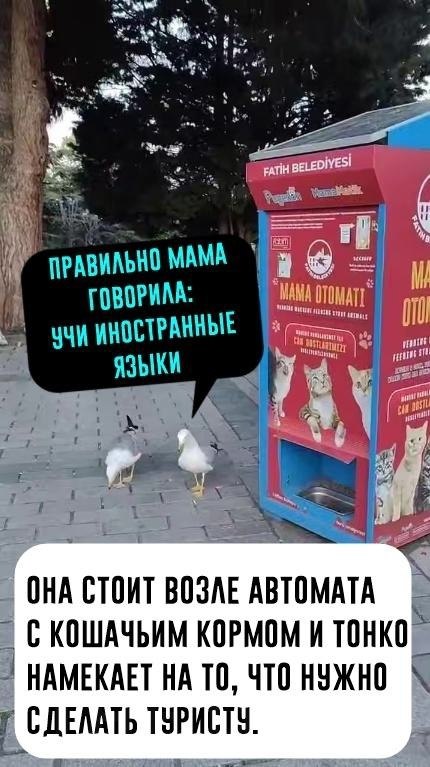 aa ocoaa, a pcococ    yp. eep e, oa ypee o ayac ... - 2