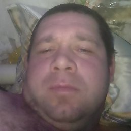 ������, �������, 41 ���