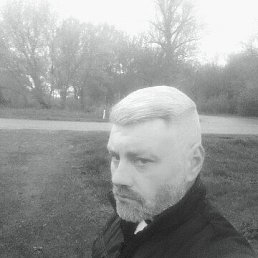 , 40, 