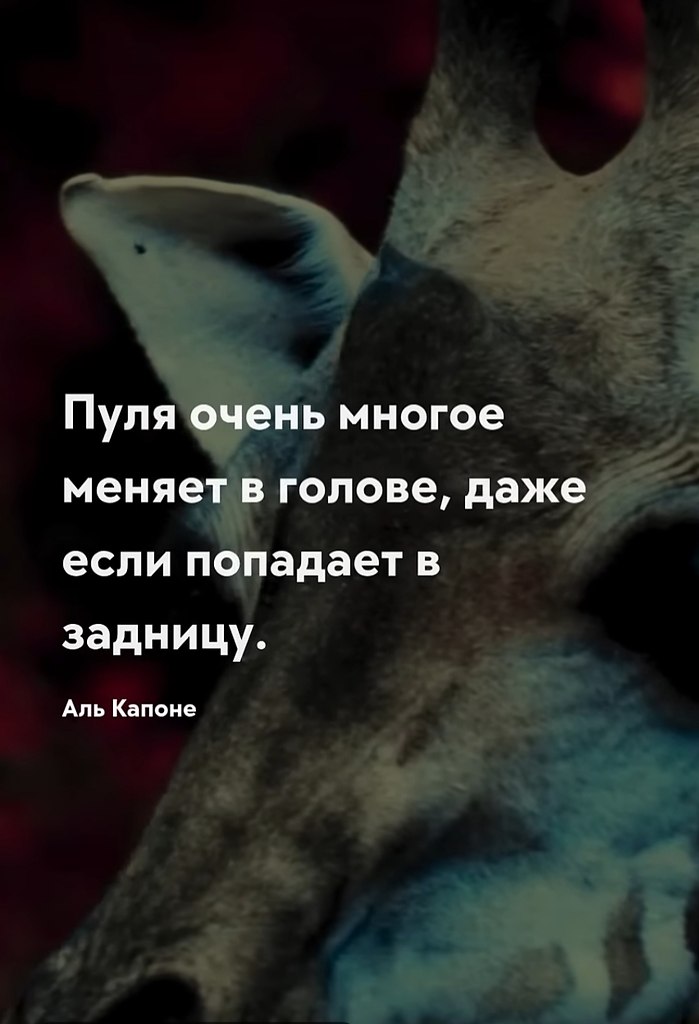   - 10  2025  22:46