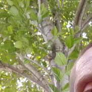 Владимир, 39 лет, Тегеран Владимир, 39 лет, Тегеран