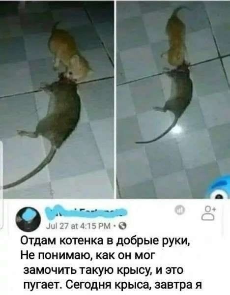  - 18  2024  20:10