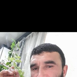 , 41, 