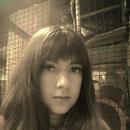 , 37, 