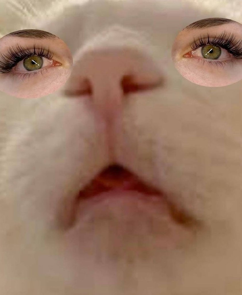 В социальных сетях разгорелся спор вокруг необычного подхода одной мастерицы по наращиванию ресниц, ... - 4